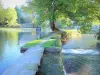 Druyes-les-Belles-Fontaines - Quellenbecken ideal zum Spazierengehen mit seinen Bäumen am Rand des Wassers