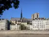 Eiland île de la Cité - Uitzicht op de Notre Dame en de gebouwen facades Island City
