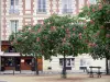 Eiland île de la Cité - Plein met bomen, het restaurant en de voorgevel van de Place Dauphine