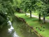 La Ferté-Milon - Walk (Mail) on the banks along the Ourcq canal; trees and ducks at the water's edge