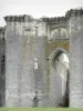 La Ferté-Milon - Facade of the castle of the Duke of Orleans (Château Louis d'Orléans)
