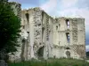 La Ferté-Milon - Remains of the castle of the Duke of Orleans