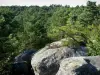 Forêt de Fontainebleau - Gorges de Franchard : rochers et arbres de la forêt