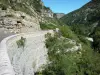Gargantas del Tarn - Parque Nacional de Cévennes: gargantas de carretera con vistas al río Tarn