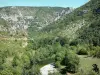 Gargantas del Tarn - Verdant paisaje de las Gargantas del Tarn, en el Parque Nacional de Cévennes