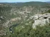 Gargantas del Tarn - Ver sobre el cañón del Tarn de la observación de rocas Hourtous, en el Parque Nacional de Cévennes