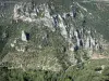 Gargantas del Tarn - Vista de las rocas y los acantilados de piedra caliza del cañón del Tarn de la observación de rocas Hourtous, en el Parque Nacional de Cévennes