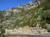 Gargantas del Tarn - Parque Nacional de Cévennes: las rocas y los acantilados de piedra caliza con vistas a la calle quebrada