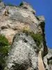 Gargantas del Tarn - Paredes de roca del Cirque des Baumes, en el Parque Nacional de Cévennes