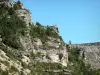 Gargantas del Tarn - Parque Nacional de Cévennes: vegetación de roquedos y barrancos