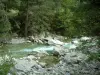 Gole della Restonica - Torrent (fiume) Restonica con rocce e alberi