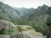 Gole della Restonica - Rocce, alberi, montagne e foreste