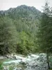 Gole della Restonica - Torrent (fiume) Restonica, alberi e montagne