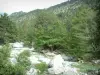 Gole della Restonica - Torrent (fiume) Restonica, alberi e montagne boscose