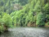 Gorges de la Rhue - Parc Naturel Régional des Volcans d'Auvergne : rivière Rhue bordée d'arbres