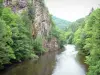 Gorges de la Rhue - Parc Naturel Régional des Volcans d'Auvergne : paroi rocheuse surplombant la rivière et arbres au bord de l'eau