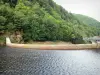Gorges de la Rhue - Parc Naturel Régional des Volcans d'Auvergne : barrage de Vaussaire dans un cadre boisé