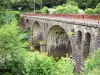 Gorges de la Rhue - Parc Naturel Régional des Volcans d'Auvergne : pont sur la rivière Rhue