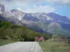 Hautes-Alpes Landschaften - Napoleonstrasse mit Blick auf die Bäume und das Gebirge