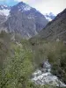 Hautes-Alpes Landschaften - Nationalpark Écrins (Écrins-Massiv): Wildbach Navette gesäumt von Bäumen und Gebirge; im Valgaudemar