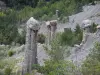 Hautes-Alpes Landschaften - Erdpyramiden Demoiselles Coiffées de Théus : Salle de Bal : Erdpyramiden Cheminées des Fées (Säulen) und Bäume