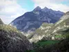 Hautes-Alpes Landschaften - Regionaler Naturpark Queyras: Häuser, Wiesen und Berge