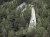 Hautes-Alpes Landschaften - Regionaler Naturpark Queyras: Erdpyramide Demoiselle Coiffée umgeben von Bäumen