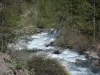 Hautes-Alpes Landschaften - Tal Freissinières: Gebirgsbach Biaysse (Biaisse) gesäumt von Bäumen und Sträuchern; im Nationalpark Écrins