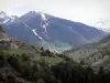 Hautes-Alpes Landschaften - Berge bedeckt mit Bäumen und Wiesen