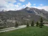 Hautes-Alpes Landschaften - Tannen am Strassenrand mit Blick auf die Berge