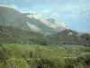 Hautes-Alpes Landschaften - Berge, Wald und Bäume