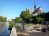 Île de la Cité - Jean-XXIII park with trees, along the Seine river, and apse of Notre-Dame cathedral