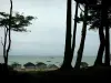 Île de Noirmoutier - Arbres du bois de la Chaise en premier plan avec vue sur les cabines de bain de la plage des Dames et les bateaux sur la mer (océan Atlantique)