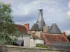 Issoudun - Steeple e il campanile dei tetti della città vecchia