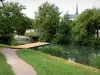 Issoudun - Mitterrand Park: a piedi lungo il fiume, gli alberi lungo la torre dell'acqua della chiesa Saint-Cyr in background