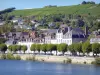 Joigny - Häuser entlang des Flusses Yonne, Joigny-Weinberg dominiert das Ganze