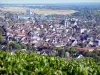 Joigny - Blick über die Dächer der Stadt Joigny vom Aussichtspunkt Côte Saint-Jacques, Weinberge im Vordergrund