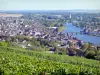 Joigny - Blick über die Dächer der Stadt Joigny und das Yonne-Tal vom Aussichtspunkt Côte Saint-Jacques, Weinberge im Vordergrund