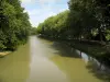 Kanal Midi
