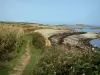 Küstengebiet Cotentin - Strasse der Kaps: Fussweg des Küstengebiets, Vegetation und Meer
(die Manche); Landschaft der Halbinsel Cotentin