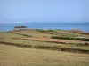 Küstengebiet Cotentin - Strasse der Kaps: Felder mit Blick auf das Meer (die Manche); Landschaft
der Halbinsel Cotentin