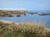 Küstengebiet Cotentin - Strasse der Kaps: Kolben vorne, Felsen im Meer (die Manche);
Landschaft der Halbinsel Cotentin