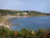 Küstengebiet Cotentin - Strasse der Kaps: Vegetation vorne, Felsen, Heide und Häuser überragend das Meer (die Manche), Landschaft der Halbinsel Cotentin