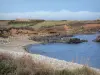 Küstengebiet Cotentin - Strasse der Kaps: Kolben, Heide, kleiner Kieselstrand, Felsen und Meer
(die Manche); Landschaft der Halbinsel Cotentin