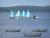 Landschaften der Landes - Segelboote (segeln) auf dem Teich von Biscarrosse und von Parentis