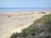 Landschaften der Landes - Côte d'Argent (Silberküste): Blick auf den Sandstrand des Badeortes Mimizan-Plage