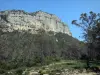 Landschaften des Languedoc - Felsen (Felswände) und Bäume
