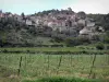 Landschaften des Languedoc - Haus eines Dorfes, Weinanbau und Bäume, im Regionalen Naturpark
des Haut-Languedoc