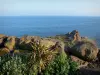 Landschaften des Languedoc - Felsen mit Blick auf das Mittelmeer, in Cap-d'Agde (Badeort)