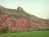 Landschaften des Languedoc - Feld, roter Felsen und Sträucher